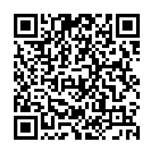 会不会绵延整个临潢府一路到达安顺候府在城外的祖墓二维码生成