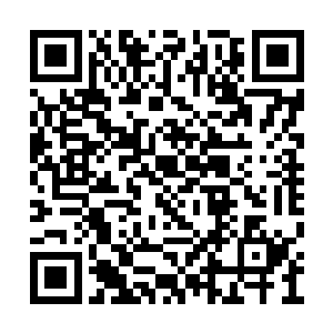 会有一个同样是罗天上仙初期的修士为他守卫吗二维码生成