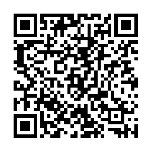 传闻这炎烈乃是神界的一流宗门的炎罡宗的御用炼器师二维码生成