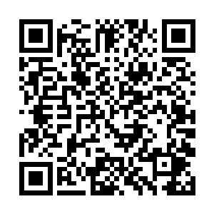 伴随着代表导弹蓄能完成情况百分比的红条渐渐填满二维码生成