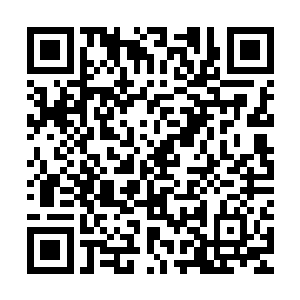 似乎……你们击杀公羊骨打和魂千里是趁着他们被我们击成重伤二维码生成