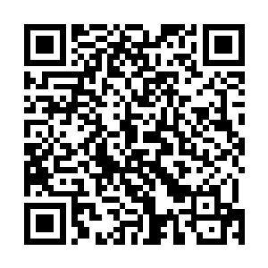 但一件能够在这种诡异禁地探查感应四周的秘宝还是有的二维码生成