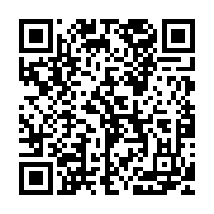 但也不是完全将秦方的力量等分成多少份的……这样一股力量二维码生成