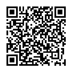 但也很难说会对某种对我们极为致命的病毒完全一无所知二维码生成