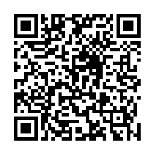 但在它们心中对努比斯的恐惧已经达到无以复加的地步了二维码生成