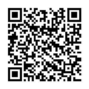 但孤狼和铁熊却是实实在在地了解到了宸王的强大二维码生成