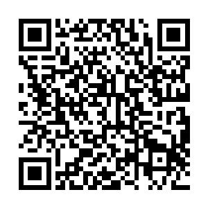 但新任党委书记的动作却获得了昌州市委一些领导的支持二维码生成