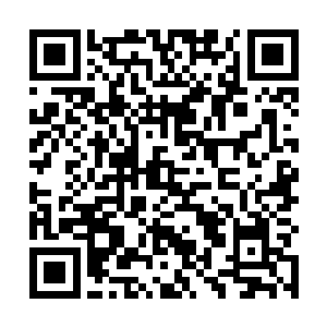 但是刚才他们已经明确表态支持赵长枪的这个修路计划二维码生成