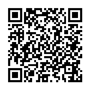 但是当着白全和秦宇的面他们又不能这么明显的表示出来二维码生成