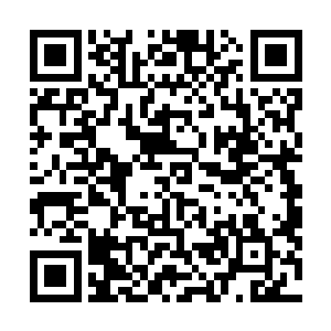 但是我估计尚书记恐怕暂时不会同意启动对贝海薇的调查二维码生成
