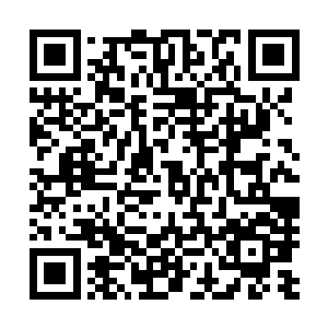 但是还没有厉害到能够惊动大乘期修士和三大城城主的地步二维码生成