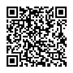 但此刻离开绯罗帐篷似乎不太方便报复计划开展二维码生成