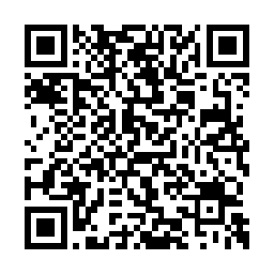 但距离公司当初定下的计划八万份可是差了不少二维码生成