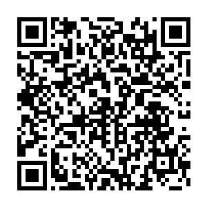 但重点我还想知道除了我们还有谁对于蚩尤石棺和建木知道的这么清楚二维码生成