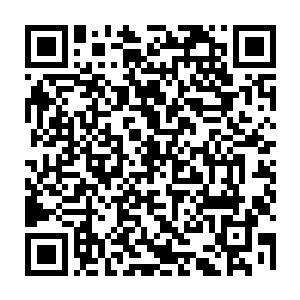 何必还要已经快要八十的老父亲亲自上殿为他们挡那些可能来自君王的算计二维码生成