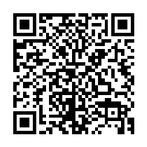 你……你你你……你别嚣张……我们可是……星域宗的弟子……二维码生成