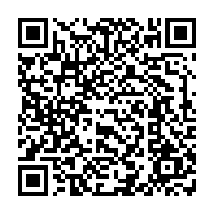 你一定恨死我了吧……否则怎么会一边挣扎的没有……就这样死去呢……二维码生成