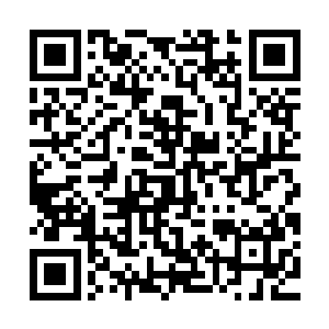 你仔细感受感受那两股对冲的力量已经提升到了何等恐怖的程度二维码生成