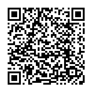 你们兄弟三个现在把关于神农架三十三个小空间的势力分布给我记录下来二维码生成