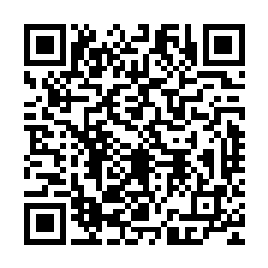 你们府到底欠了什么样的债让你们非要拿小侯爷的婚事儿来做赔二维码生成