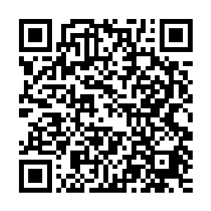 你干什么现在情况未知多一个人就多一份力量你怎么还对我出手二维码生成