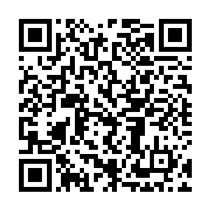你的意思是……你准备和我暂时建立互相利用的关系咯二维码生成