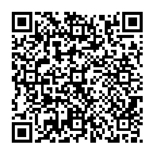 你看我做什么……岚姨娘咽气之前就你跟画眉在旁边……岚姨娘跟画眉说了好一回二维码生成