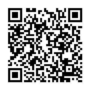 你等着……我不会放过你的……我师傅不会放过你的……二维码生成