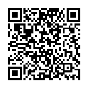 你难道没有发现林澜剑战了二十一场都没有什么消耗二维码生成