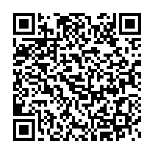 便看到悲伤过度晕过去的大师兄和带着安详笑容已经冰冷的小师弟二维码生成