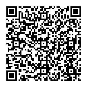 做一步给一步钱完全按着合同来的人苟建新从进行以来满打满算的见过的都不超过一个巴掌来二维码生成