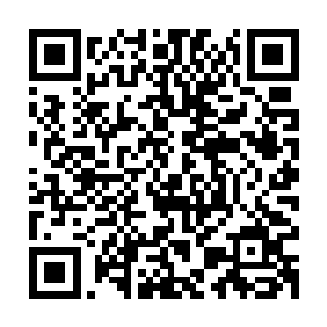 兰开斯特和萨兰登在表演之中都展现出了他们灵魂的挣扎和抗争二维码生成