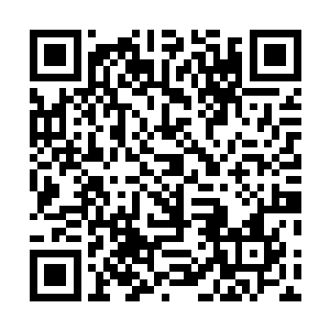 其中不仅有楚暮从学剑开始一次次做出最适合自己的改变二维码生成