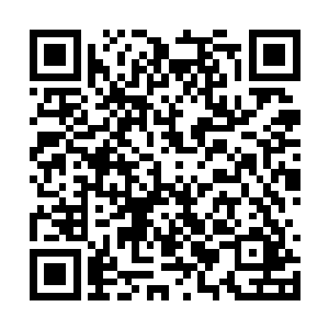 其中有一些金甲巨人和巡海夜叉虽然没有金仙境界二维码生成