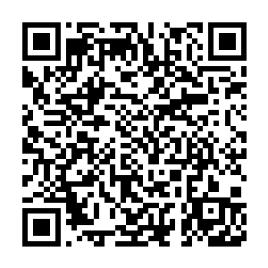 其他宠物们是不会承认他们自动忽略了梅鲜灵不知道这件事的前因问题二维码生成