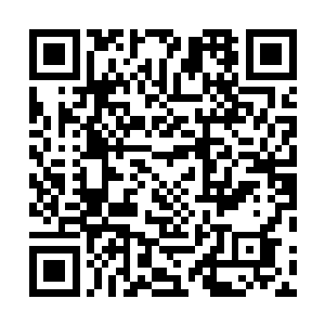 其实下界许多飞升修士不论在管理上还是在对宗门发展上二维码生成