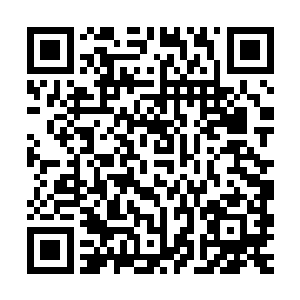 其实也就是他爸给他准备的以后接班继续修房子卖房子的那一套二维码生成