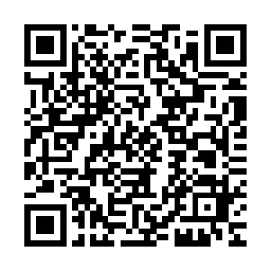 其实在陈易清回来的第二天就在官方网站上的新闻首页出现过了二维码生成