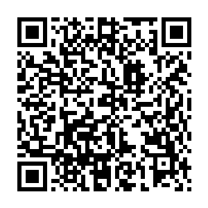 再加上宙斯在炼制他们之时给他们体内融入了很多特殊的材料和金属二维码生成