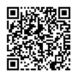 几乎一进门就已经能够看见某栋楼上标注的那个大大的字母二维码生成