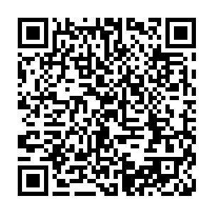 凯文的笑容有一瞬间的黯淡――珍妮弗刚主演了一部十亿级别的传奇巨制二维码生成