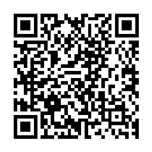 则是以传音的方式向剑尘详细的介绍着这些实力的一些具体信息二维码生成