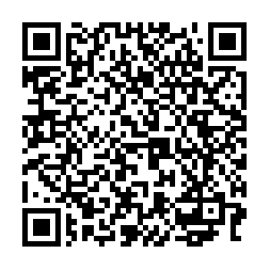 刚才还一副大有占领了粉果林子架势的跳鼠们就这么悄无声息的不见了二维码生成