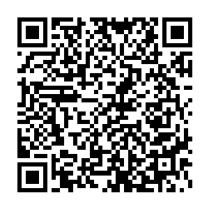 到时候他们会组织人引导咱们学校的舆论…对我基本上没有什么影响二维码生成