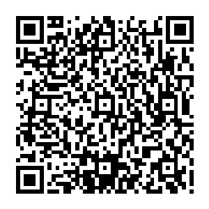 剑尘除了每日早晨去学院东侧的小树林中教导大哥长阳虎一些打斗技巧方面的知识外二维码生成