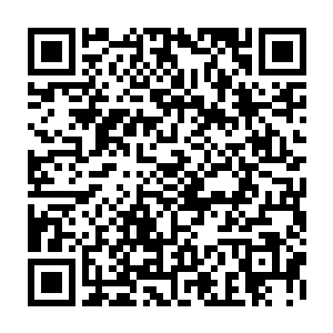 努比斯竟然在短短四年的时间内就从圣王三重天提升至圣王九重天境界了二维码生成