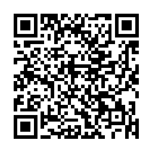 化作可怕的杀伐攻击从那金夏的头顶上空狠狠地劈了下去二维码生成