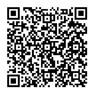 十二个区县将会每隔两周在一个县市区搞这种现场互动模式的寻宝鉴宝和竞猜节目二维码生成