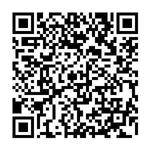 十大守护家族和依旧未离去的光明圣师工会一群人皆是安安静静的悬浮在半空中二维码生成