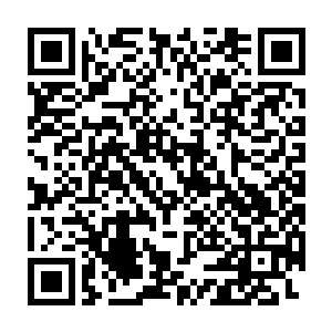 却也绝对是打算将秦方打成重伤的……密宗大手印本就是密宗的绝技二维码生成